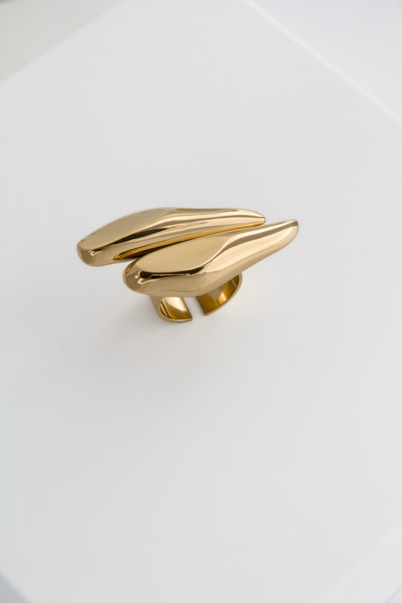 anillo_oro_car