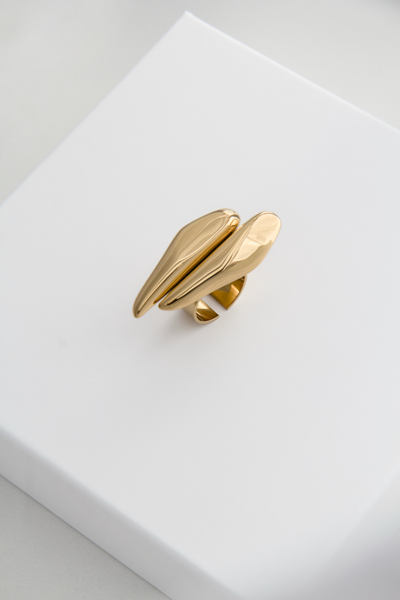 anillo_oro_car