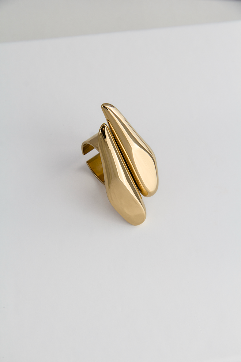 anillo_oro_car